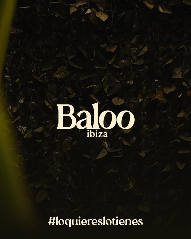 BALOO NIGHTS