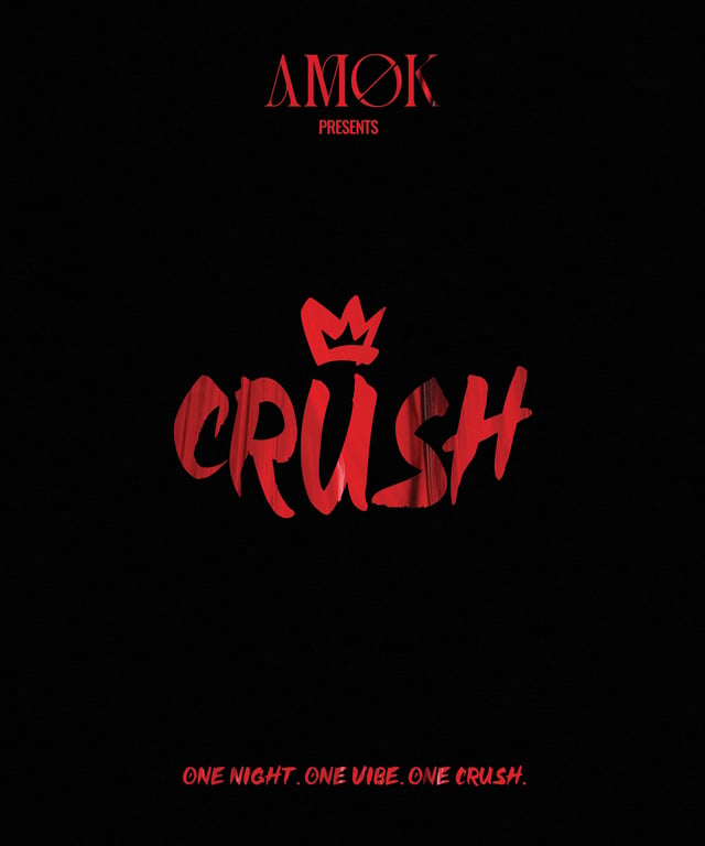Crush | One Night. One Vibe. One Crush**